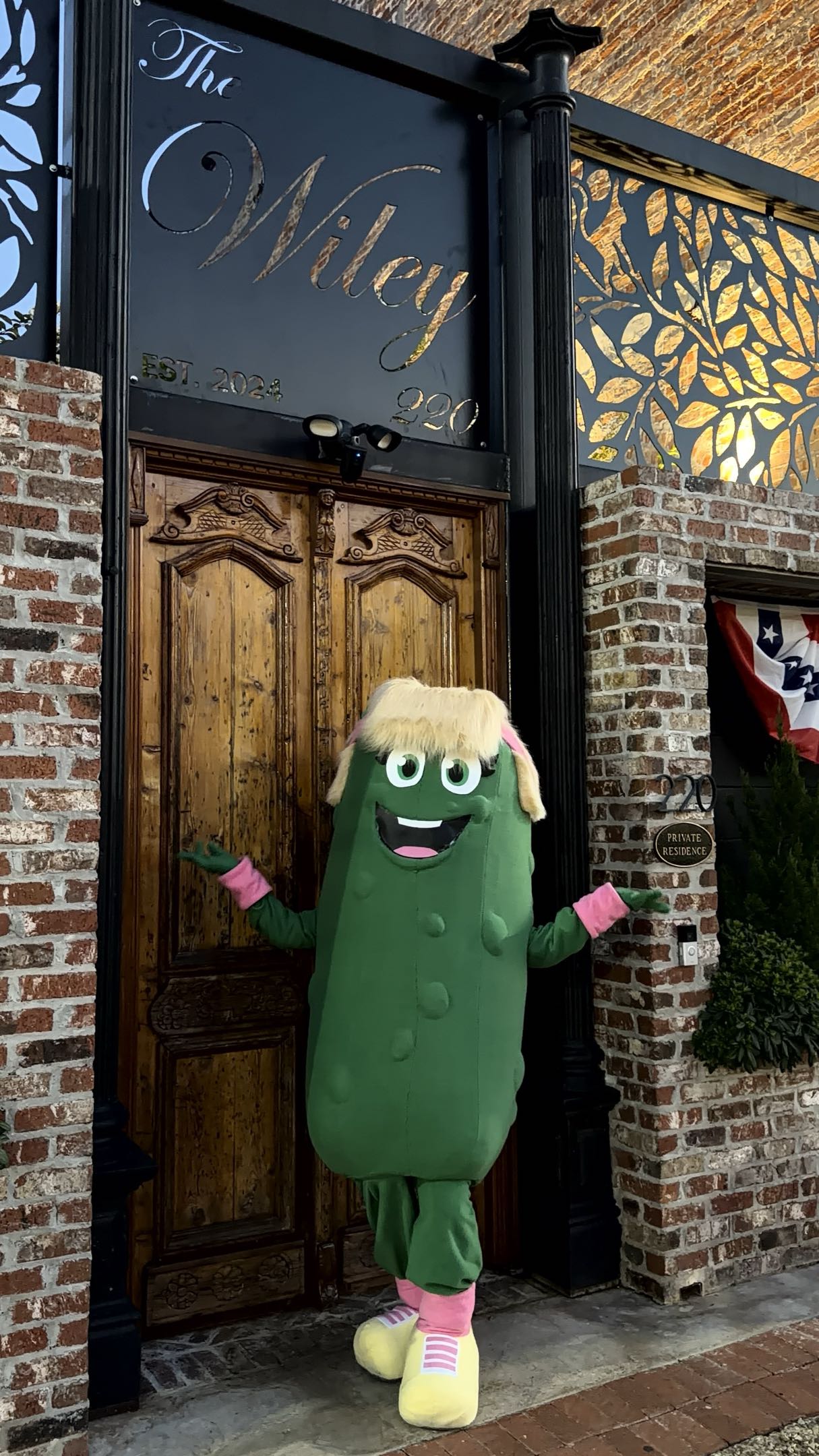 Paddy the Pickle at The Wiley